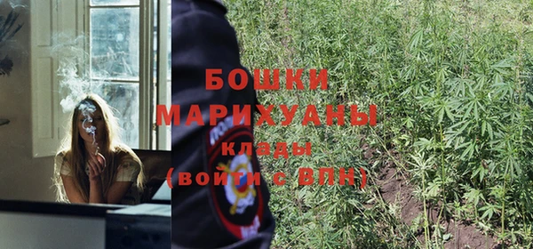 мдпв Михайлов