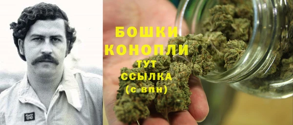 мдпв Михайлов