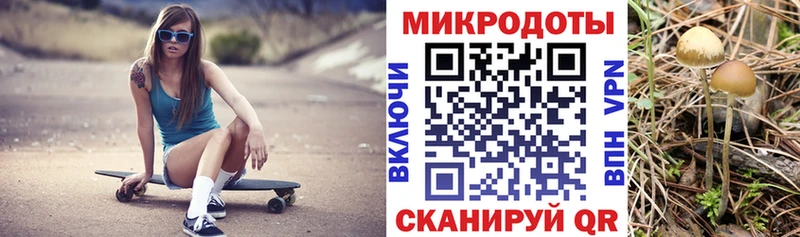 Псилоцибиновые грибы ЛСД  Купить закладки  Николаевск 